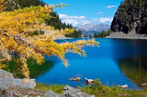 Lake Agnes Teahouse Hike | Get Inspired Everyday!