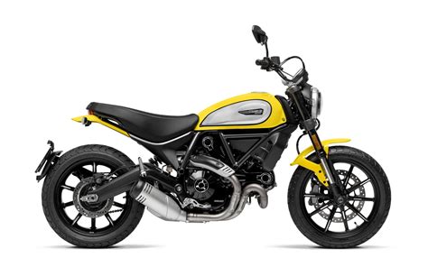 Scrambler Icon – Yellow – Ducati South Africa