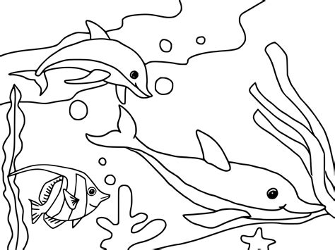 View Coloring Pages Ocean Animals Pics