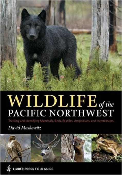 Wildlife of the Pacific Northwest — David Moskowitz Wildlife Tracking ...