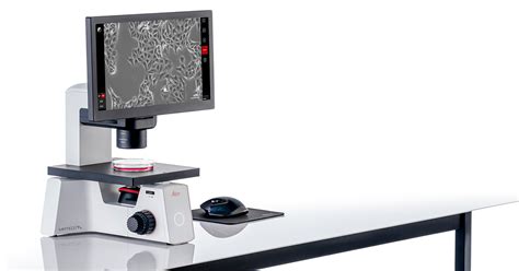 Make checking cells simple with Mateo TL digital microscope from Leica ...