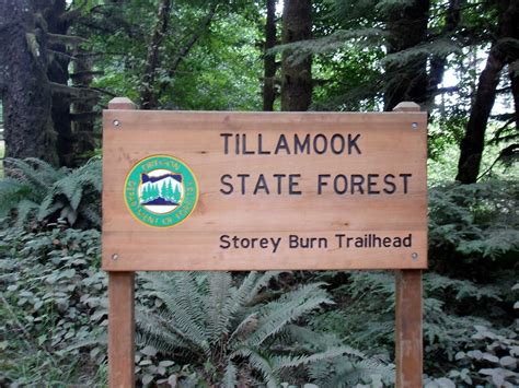 Tillamook State Forest Blog