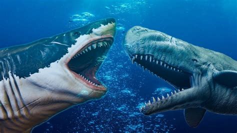 Megalodon Vs Livyatan - Who Would Win? in 2020 | Megalodon, Big shark, Megalodon shark