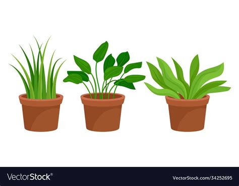 Flowers and plants growing in ceramic pots vector image on VectorStock | Plants growing, Ceramic ...