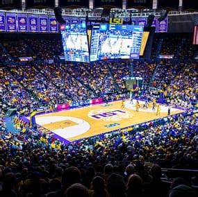 Discount LSU Tigers Men's Basketball Tickets for Military & Government | GovX