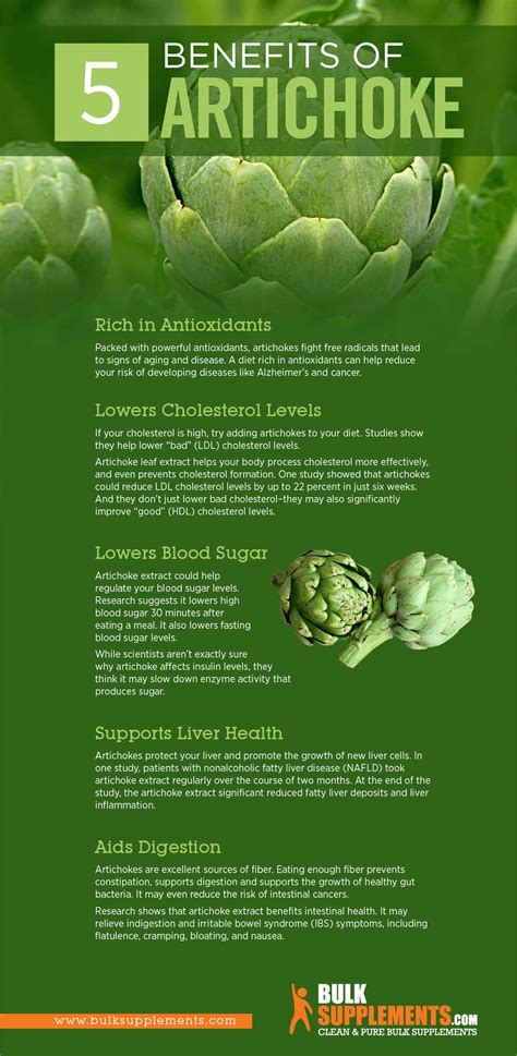 Artichoke Benefits, Side Effects and Dosage