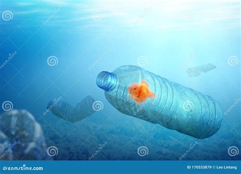 Goldfish Trapped on the Plastic Bottle on the Ocean Stock Image - Image of ocean, ecosystem ...