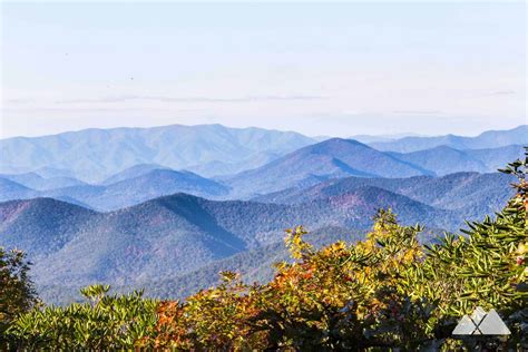 Hiking near Blue Ridge, Georgia: our top favorite trails