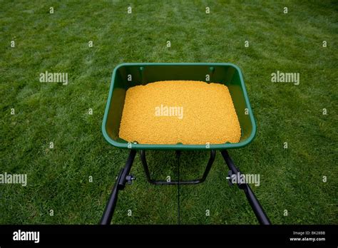 Lawn weed prevention product made from corn gluten Stock Photo - Alamy