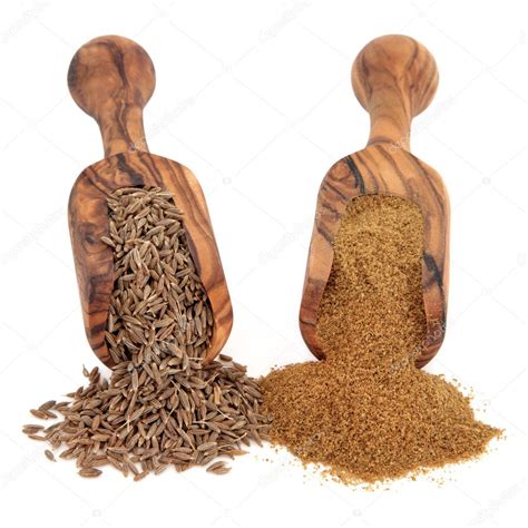 Cumin Seed and Powder — Stock Photo © marilyna #10648454