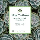 Green Pink & White Grow Succulent Plants Tips Carousel Instagram Post.pdf