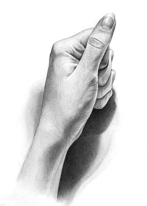 hand sketches | How to draw hands, Realistic drawings, Still life drawing