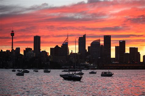 Sydney - City and Suburbs: Rushcutters Bay, Sydney skyline