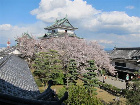 Cherry Blossom in Wakayama: Castles & Temples - Kansai chan