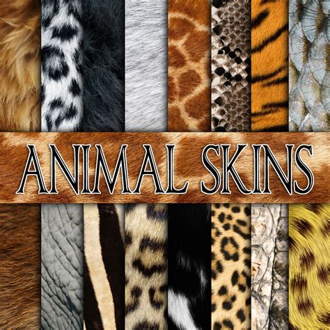 Animal Skins And Furs