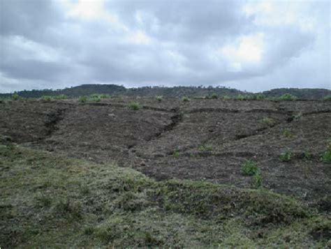 Rill erosion north of Adisukebele | Download Scientific Diagram