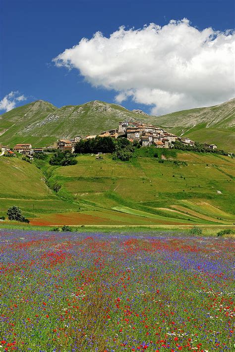 Castelluccio Di Norcia by Vittorio Ricci - Italy