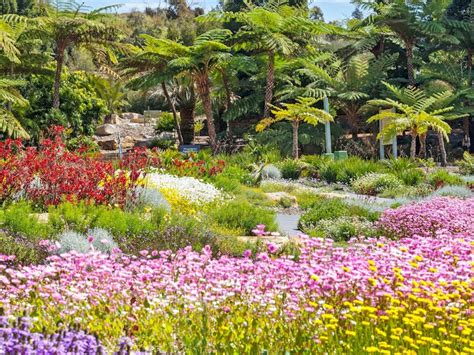 The Australian Botanic Garden Mount Annan | Sydney, Australia ...