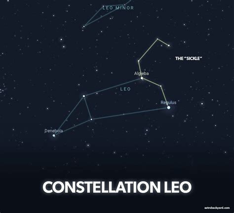 The Leo Constellation | Pictures, Facts, and Brightest Stars