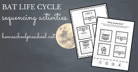 Free Printable Life Cycle of a Bat Worksheets for Preschool