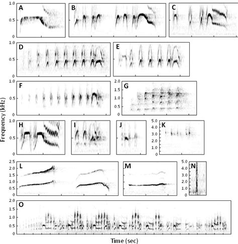 Spectrographs showing 13 vocalizations, one nonvocal sound, and a duet ...