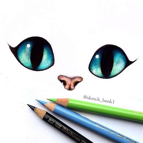 Cute Cat Eyes Drawing - Penelope-has-Price