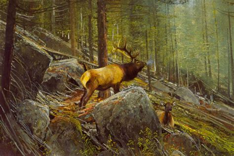 The Monarch - Bull Elk — Coleman Art