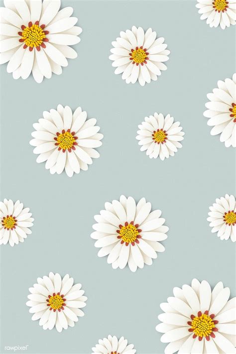 White Daisy Flower on Light Blue Background