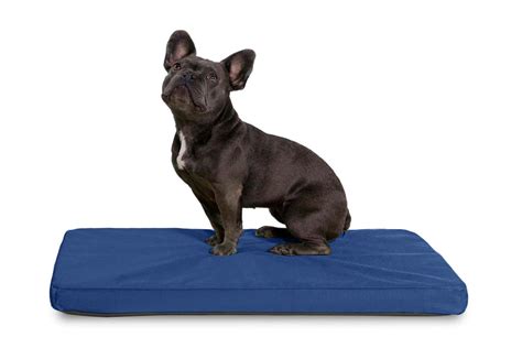 Orthopedic Dog Beds | Water-Resistant | K9 Ballistics®