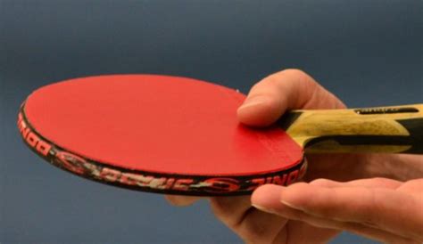 What Is the Standard Dimensions and Size of Ping Pong Paddle?