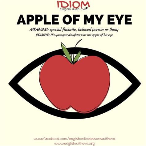 Apple of my eye | English idioms, Summer vocabulary, English vocabulary