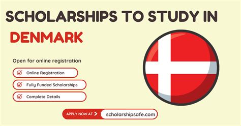 Top 9 Scholarships to Study in Denmark 2024 | Study in Denmark