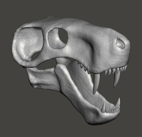 STL file Dinosaur skull, Inostrancevia cranium and jaw・3D print design to download・Cults