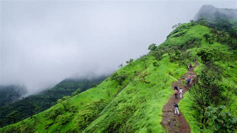 Surkanda Devi trek, Uttarakhand - Flat 10% Off | Hey Himalayas