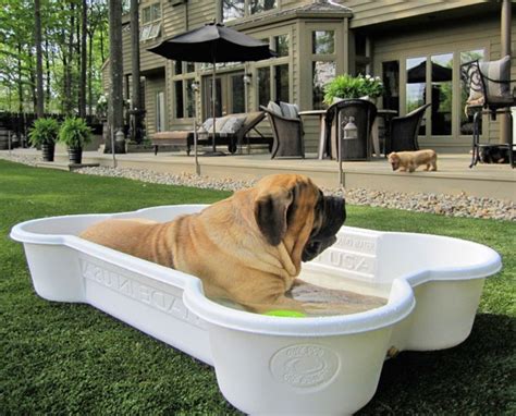 Bone Shaped Dog Pool