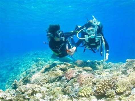 Nha Trang Diving Tour, Nha Trang Snorkeling Tour