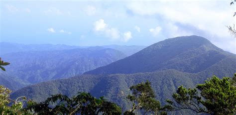 Major Mountains in Jamaica | About Jamaica