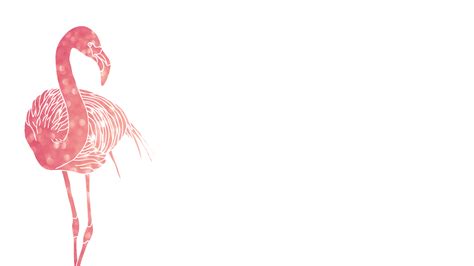 FREEBIES // PINK FLAMINGO DESKTOP WALLPAPERS – Oh So Lovely Blog