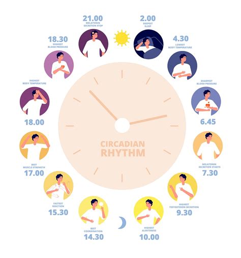 What Is Your Circadian Rhythm and Why Is It Important? | INTEGRIS Health