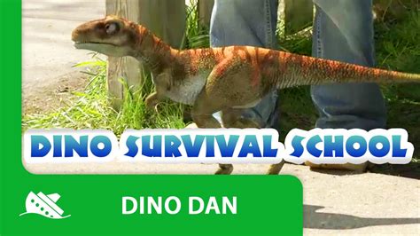 Dino Dan Baby