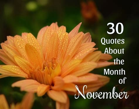 30 Quotes About November: Month of Thanksgiving and Reflection - Holidappy