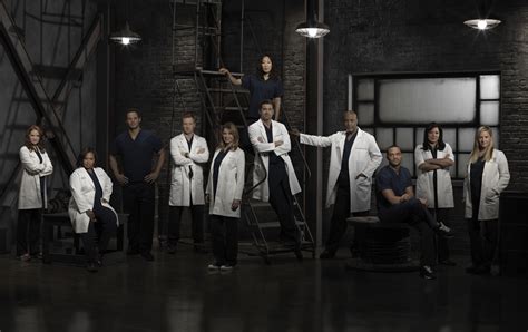 Grey's Anatomy Season 9 Cast Photo - Grey's Anatomy Photo (32418221 ...