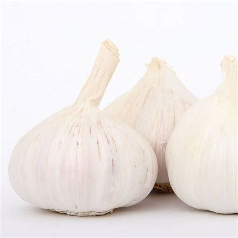 Organic Garlic Bulbs | Heartbeet Farm