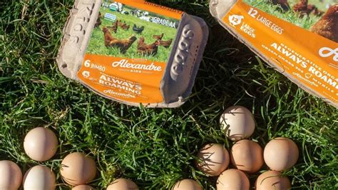 13 Best Egg Brands, Ranked