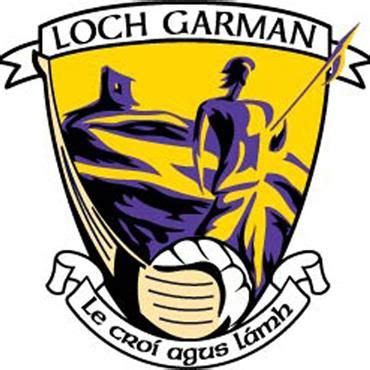 Wexford GAA Flag