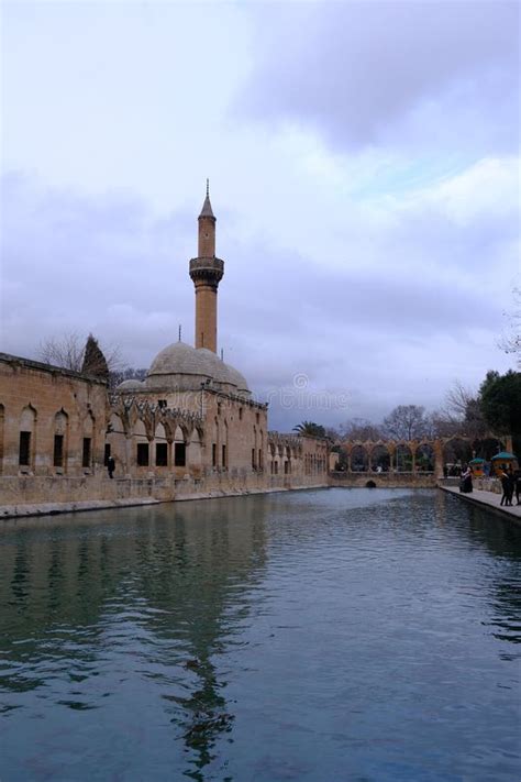 Carp Fish Swim in Balikli Gol at Sanliurfa in Turkey.February 08,2020 Editorial Image - Image of ...