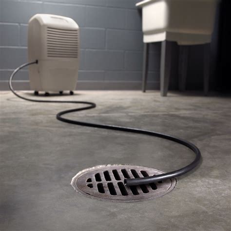 20 Lovely Dehumidifiers For Basements - basement tips