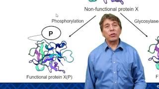 Animation: Protein Structure | Channels for Pearson+