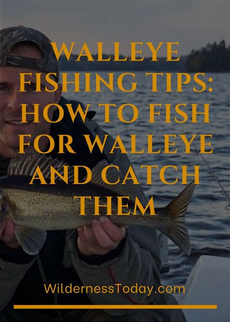 Walleye Fishing Tips: How to Fish for Walleye and Catch Them | Walleye fishing tips, Walleye ...