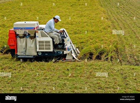 Japan Rice Farmer Stock Photos & Japan Rice Farmer Stock Images - Alamy